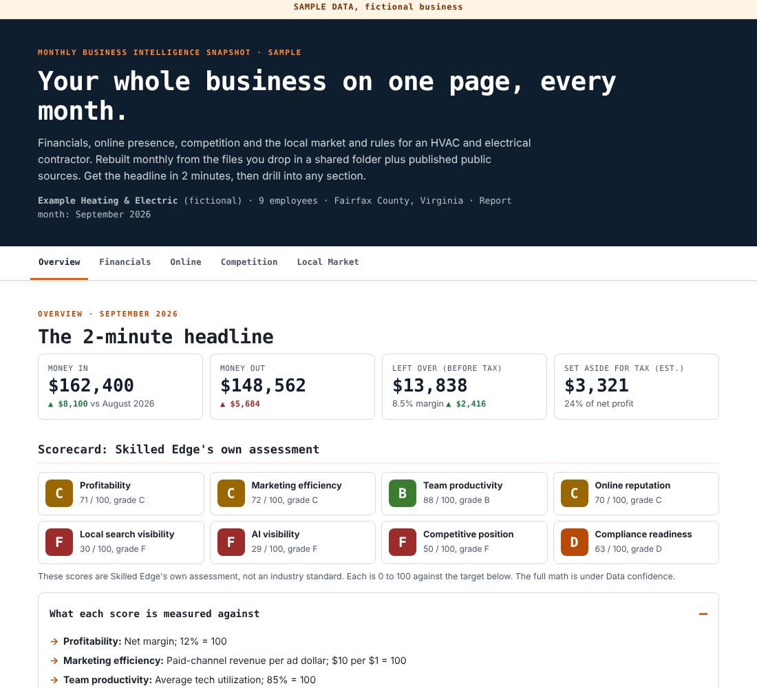 Preview of the Monthly Business Snapshot page